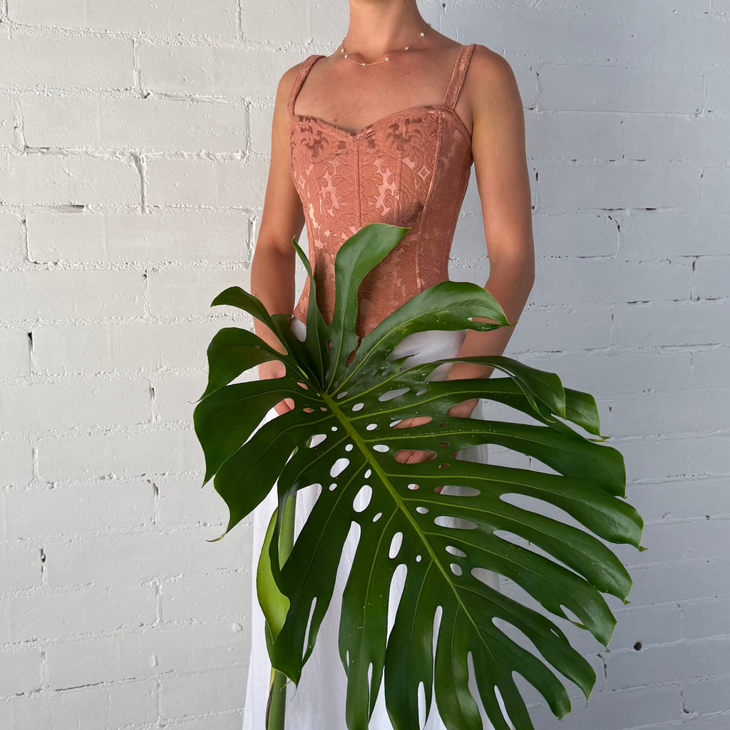 Rosetta Corset